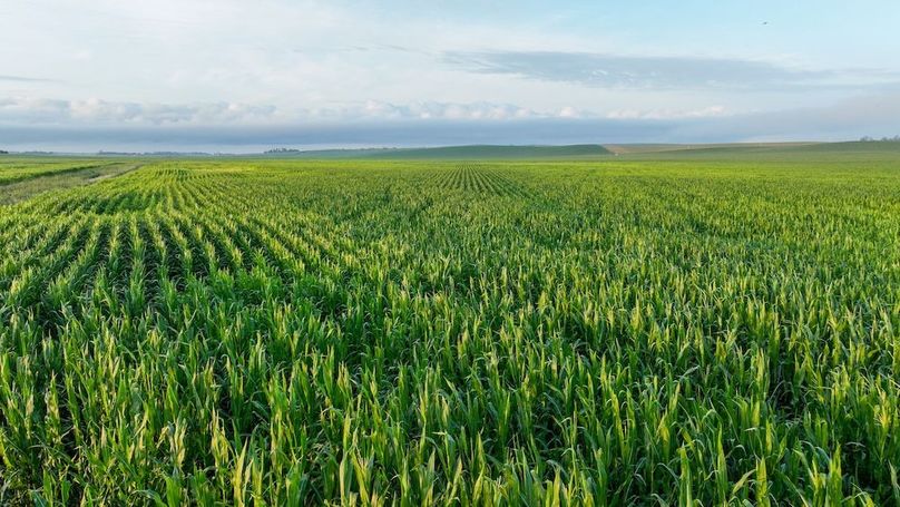 Copy of Copy of DJI_0341