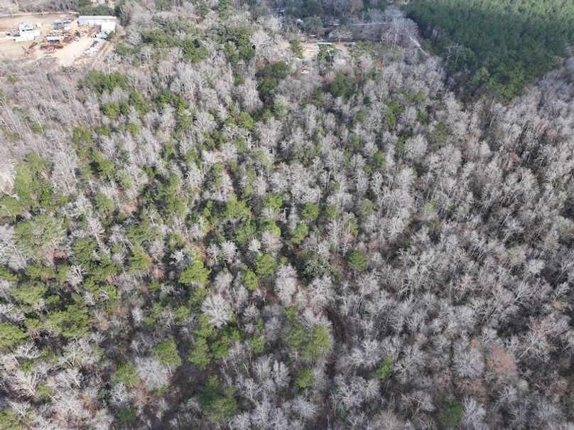 dji_fly_20260212_141038_0064_1771284240627_photo