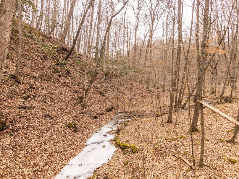 DJI_20260121115125_0050_D