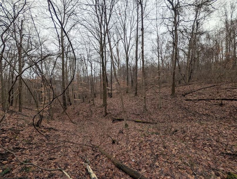 PXL_20260107_175325063