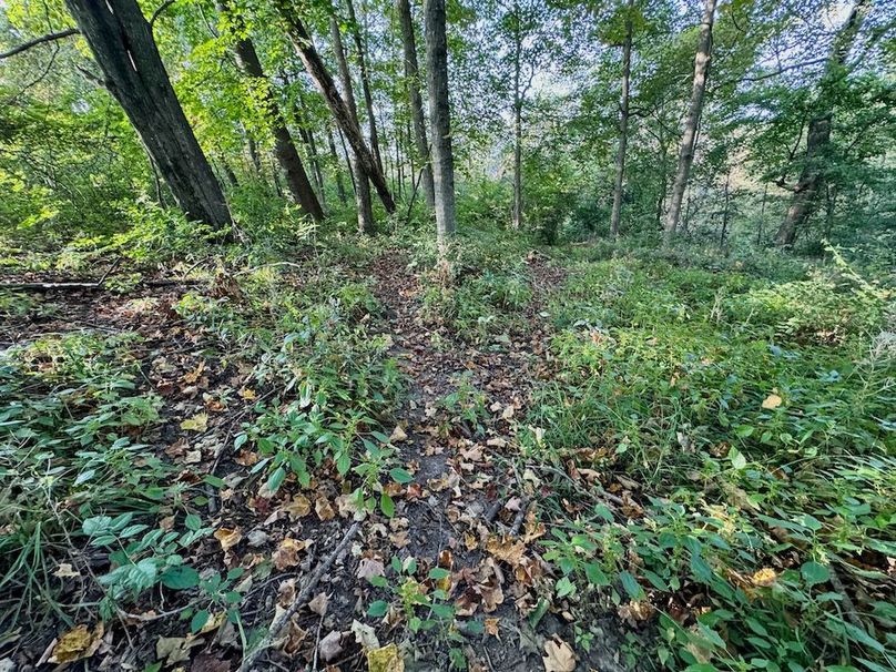 Richland 199Ground - 38