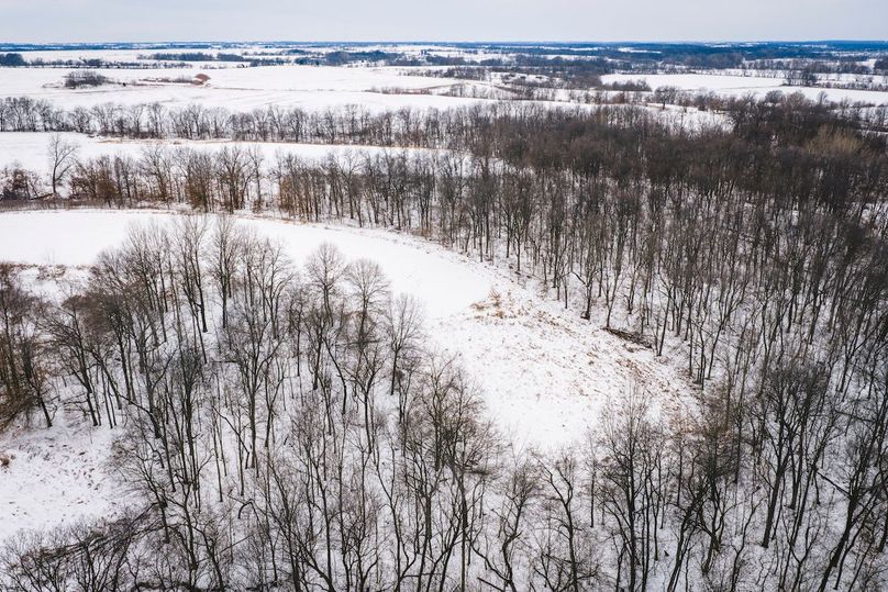 DJI_20260128162859_0539_D