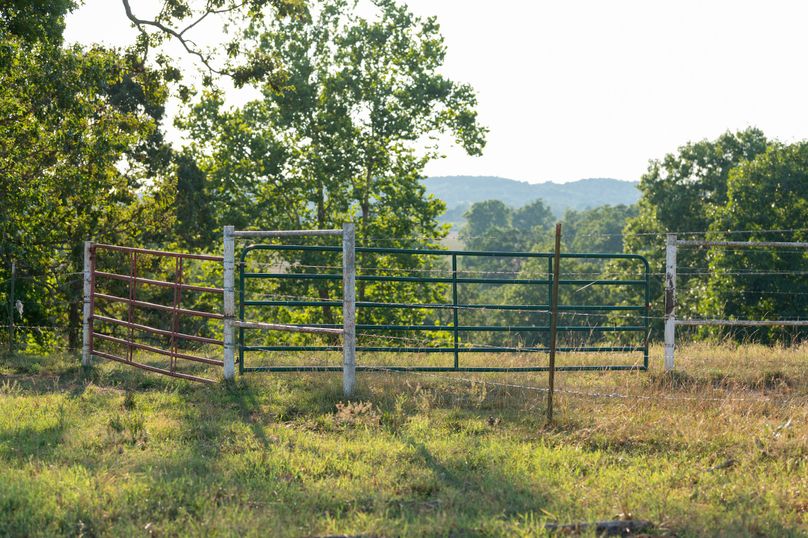 Ozark MO 638_Pro Photo_78