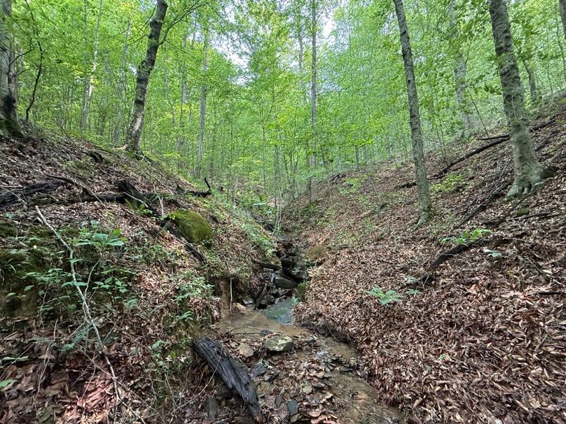 010 small feeder tributary feeding in near the west boundary