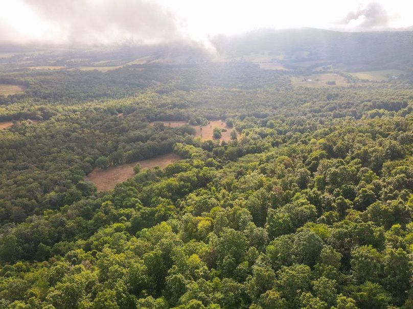 dji_fly_20250826_084208_701_1756215741170_photo