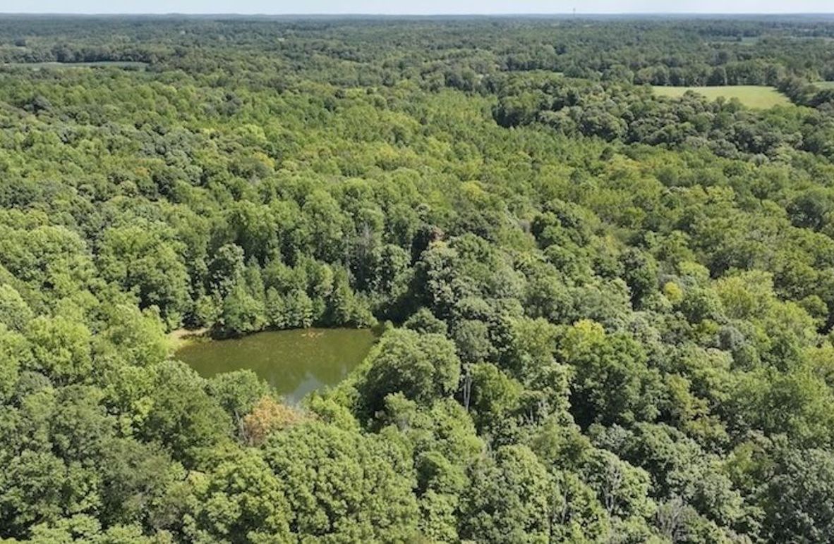 dji_fly_20240904_132556_0367_1725471196792_photo