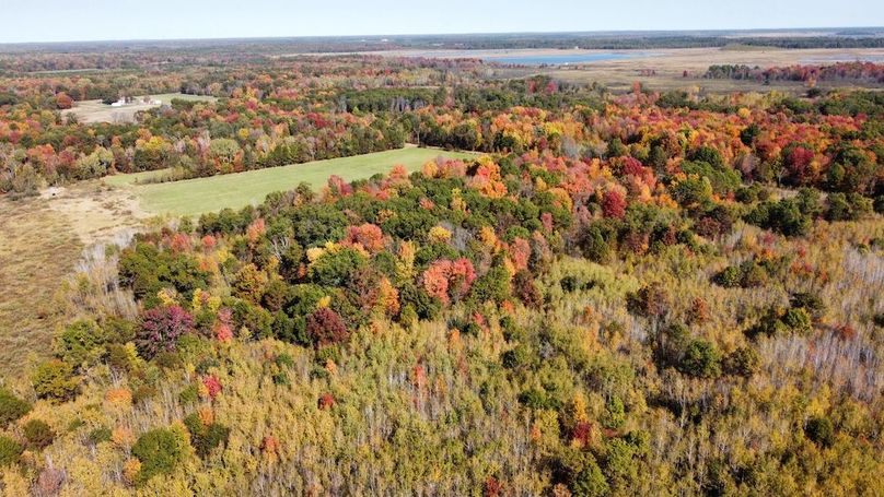 dji_fly_20241010_133348_425_1728585648296_photo_optimized