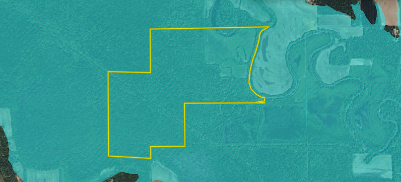 5Screenshot 2026-02-09 at 11.14.18 AM