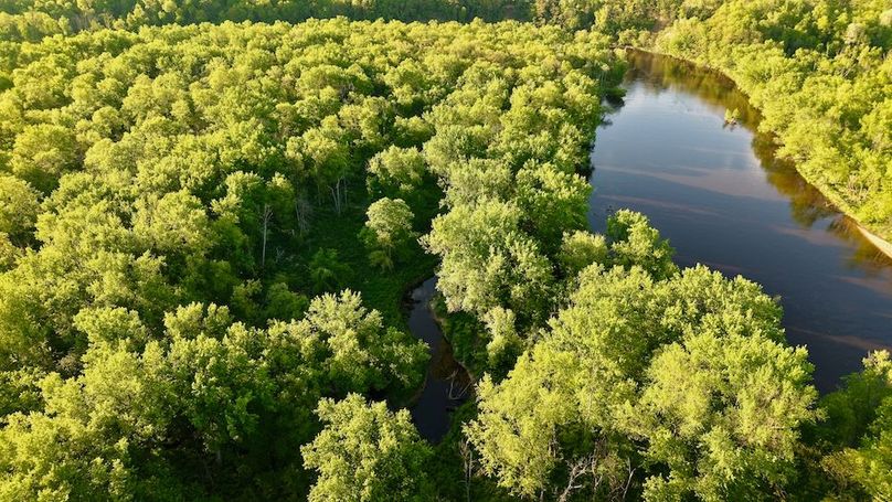 La Crosse 56.17 - 10