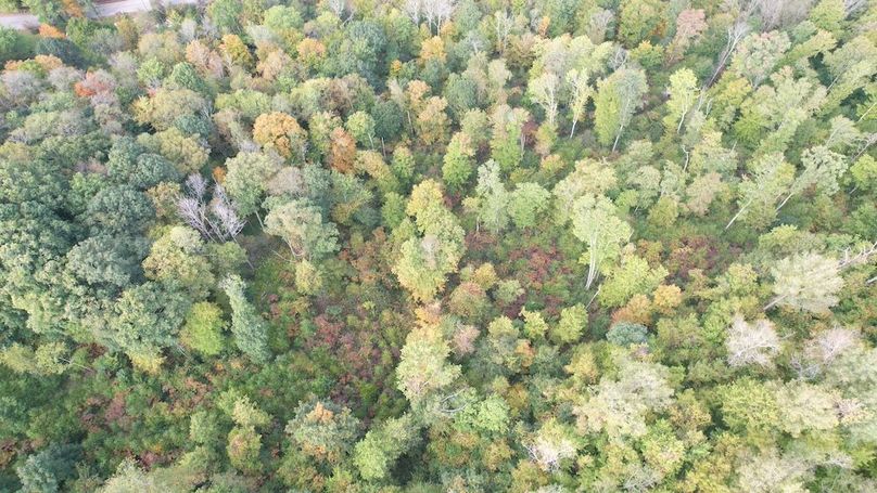 dji_fly_20240919_092054_676_1726752702239_photo