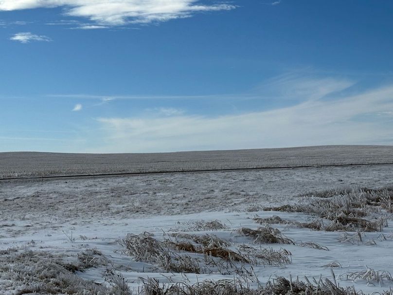 1641F326-DFBA-4459-B6C8-A92FBFEBD2B7_1_105_c