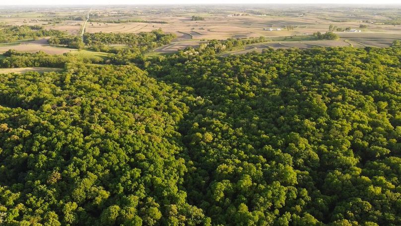 PAGE CO IA 130+_-_59