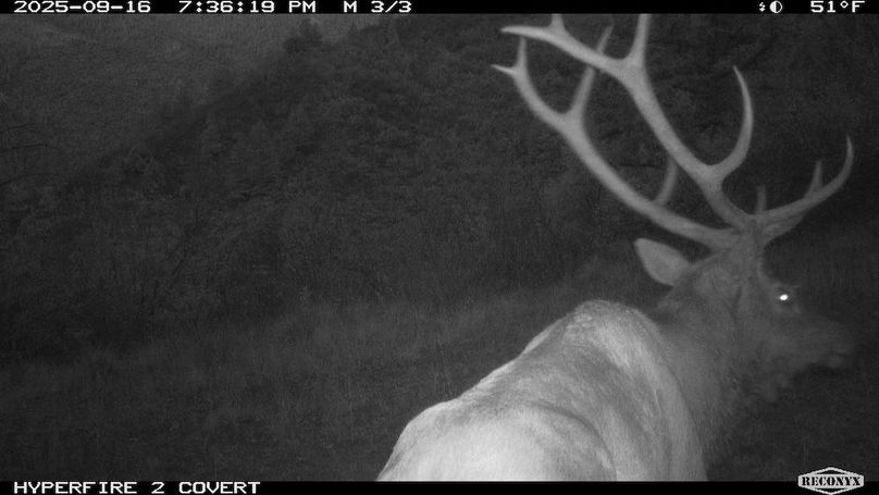 57934AFC-D4F4-4627-88A8-F01A1799D1B1