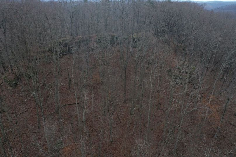 004 the rock rim running along the south boundary ridge