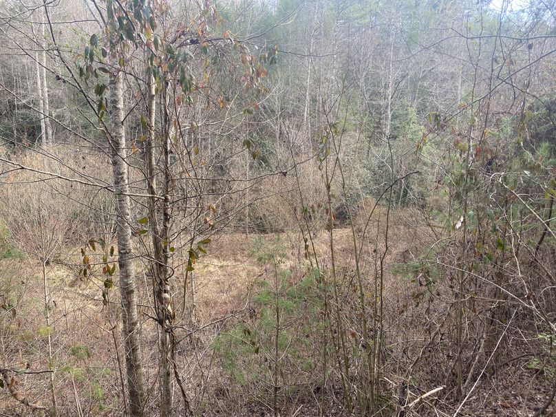 Cherokee 7.47 Herzog-17