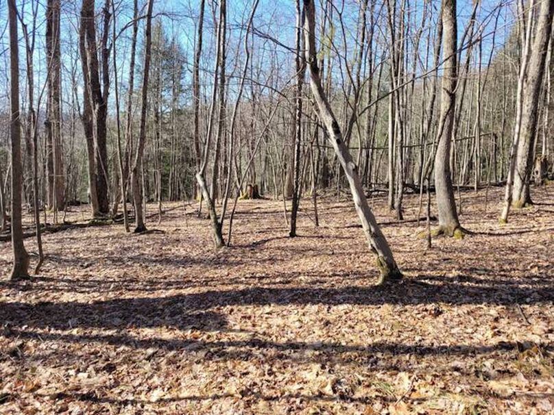 11067406-P5vfxyRnr4Vyx6by