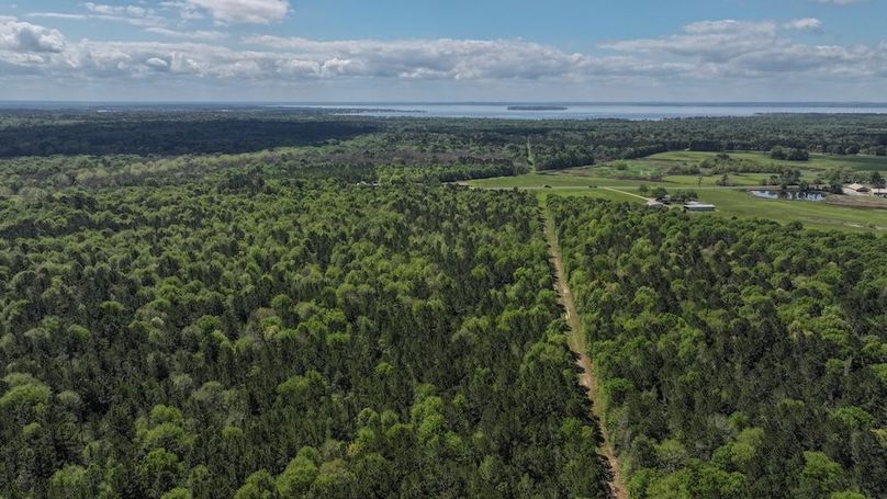 DJI_20260327114655_0009_D