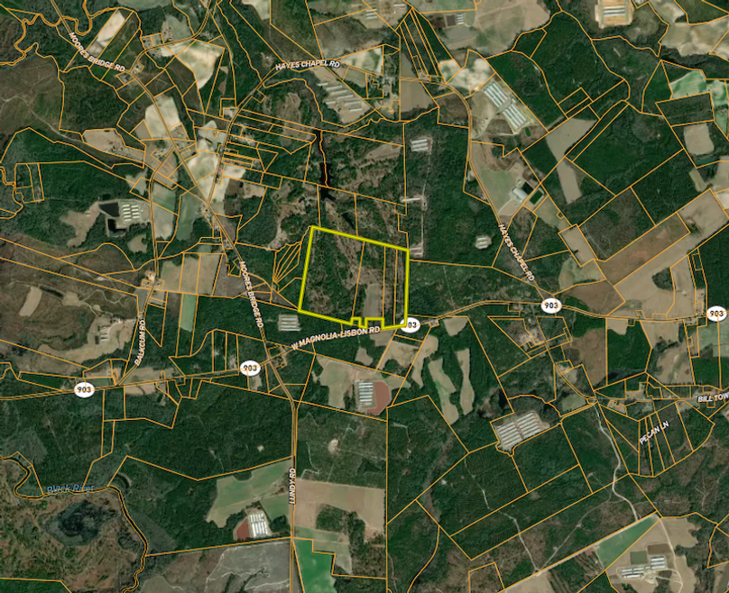 Screenshot 2025-11-20 140029