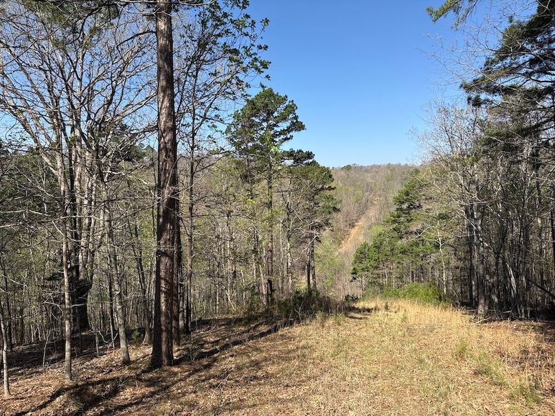 DJI_20260326_110416_831