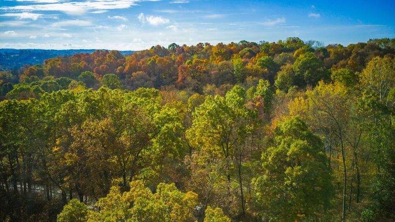 01-zj 31961 Township Rd 381001