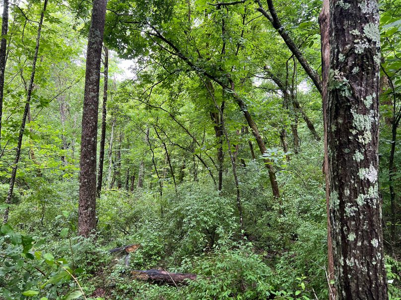 Wirt, WV 150.75 AC Tinnell-19