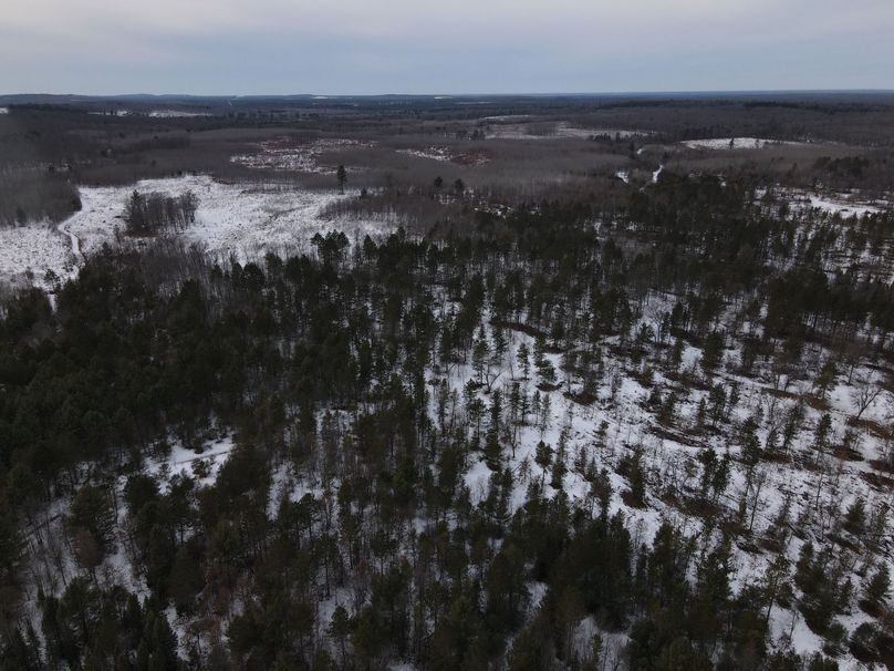 DJI_0505