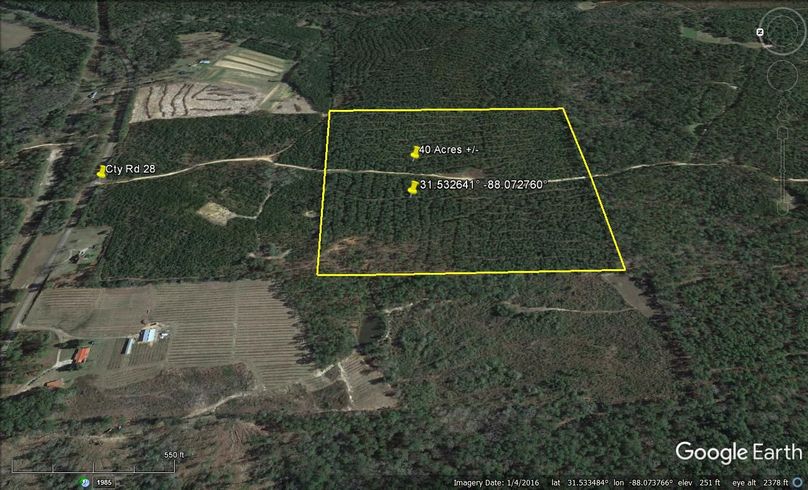 Aerial #3 Approx. 40 Acres Washington County, AL