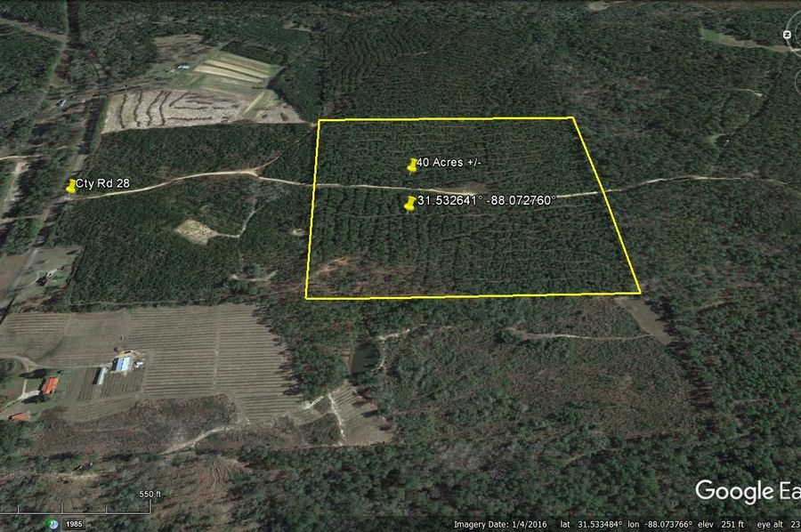 Aerial #3 Approx. 40 Acres Washington County, AL