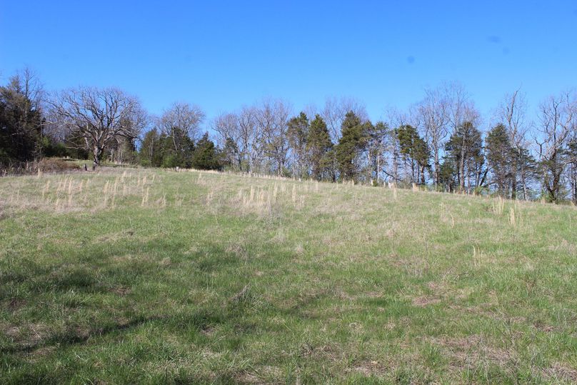 004 one of the open field areas near the center of the property