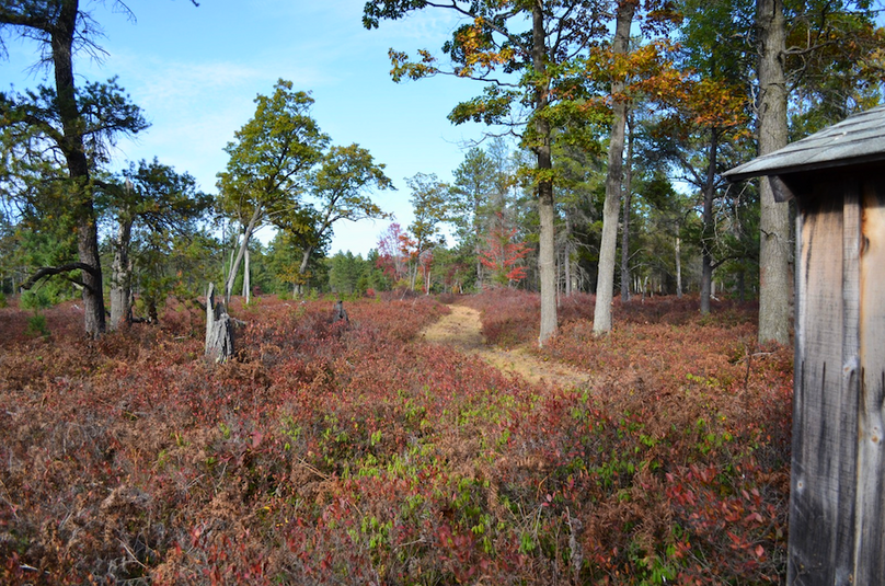 Screenshot 2025-11-14 at 11.33.56 AM