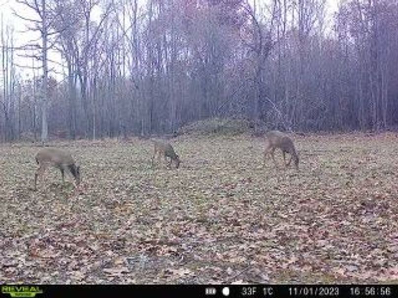 0a369d7f-feb8-40ba-8d71-5b5f35228dce