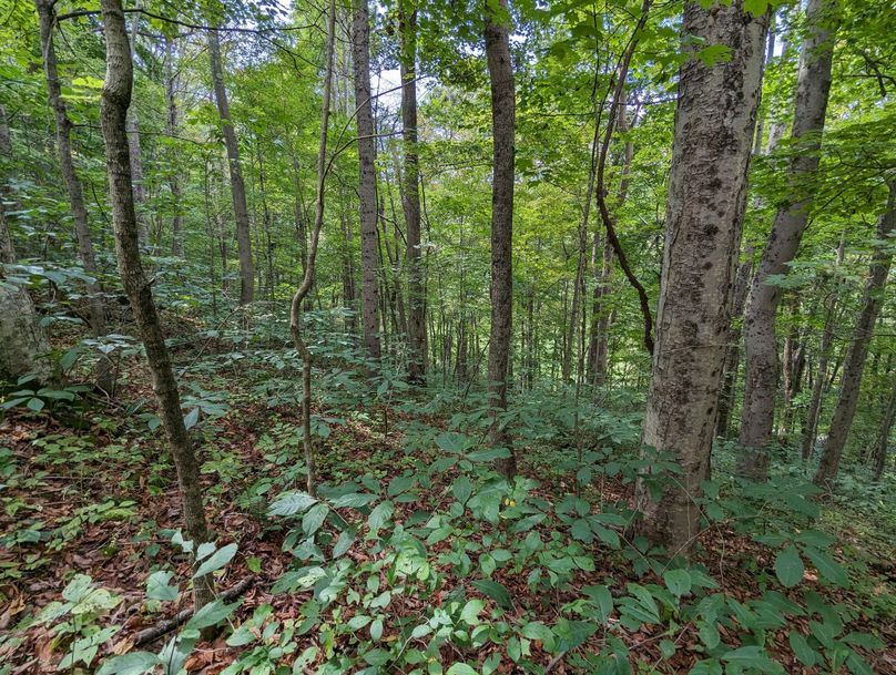 PXL_20230908_180837942