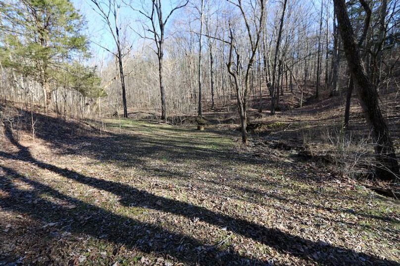 015 small foodplot area in the main valley near the south boundary