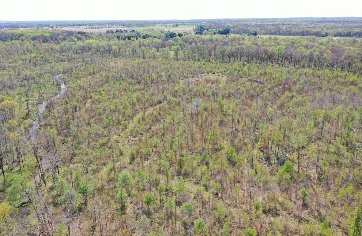 DJI_0998