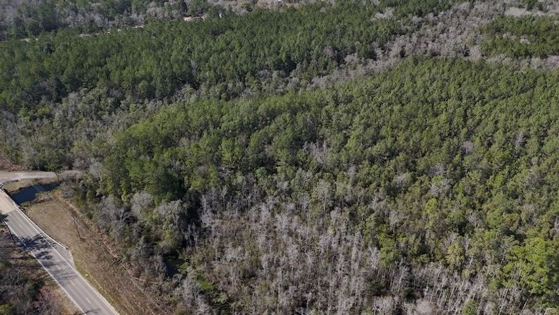 DJI_20240226141822_0012_D