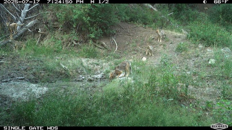 A20DC18B-A3A5-488C-9954-AD0FADEF6BB6