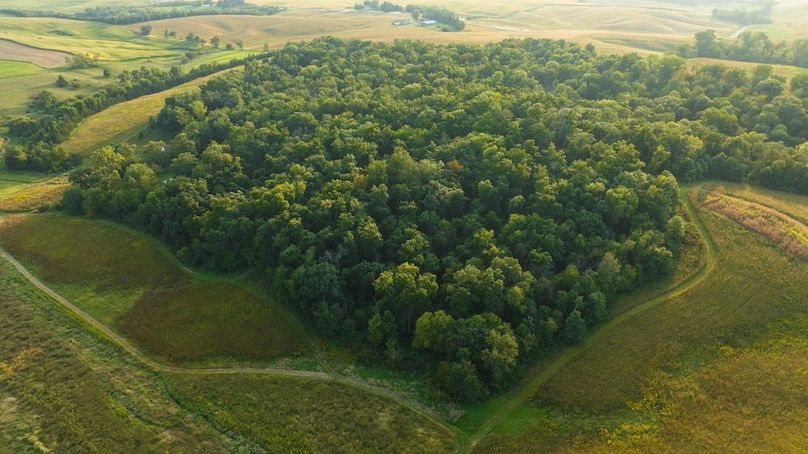 Cedar IA 152 Featured Z51