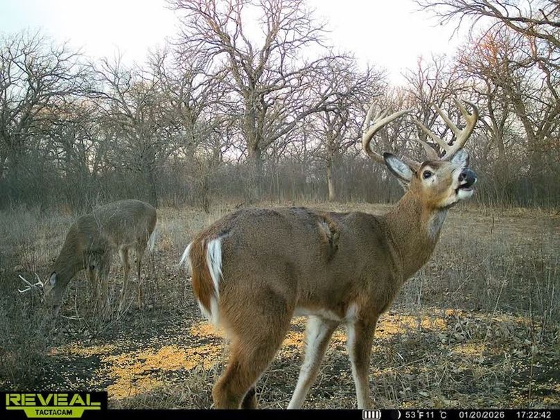 860322064077966-100-3-01202026172300-V-W1012119