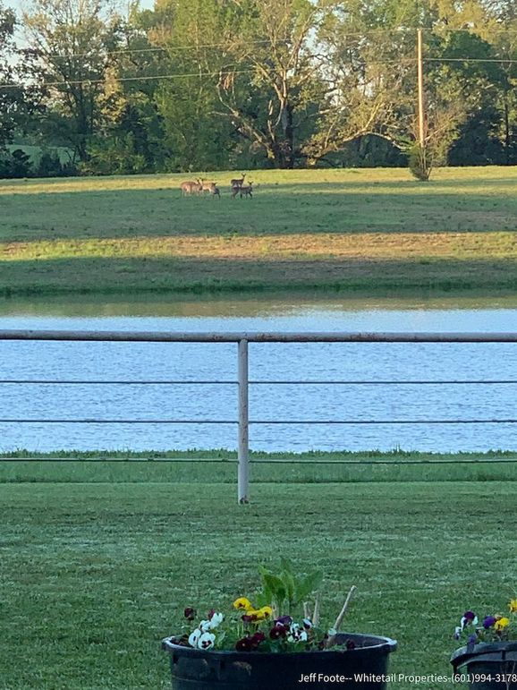 Hinds Co - 39.98 - M Beasley-10