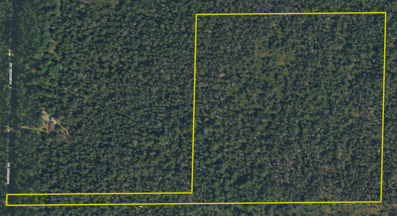 Screen Shot 2024-07-19 at 12.20.22 PM