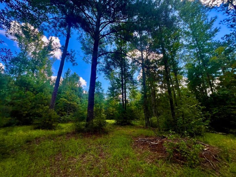 720B1C30-D26B-48DC-91F6-7C498D21AEC7_1_201_a