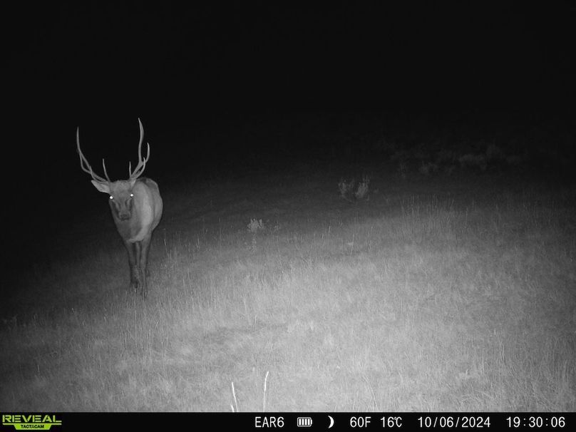 Copy of 868032066947726-70-3-10072024052810-HD-SYFW6992