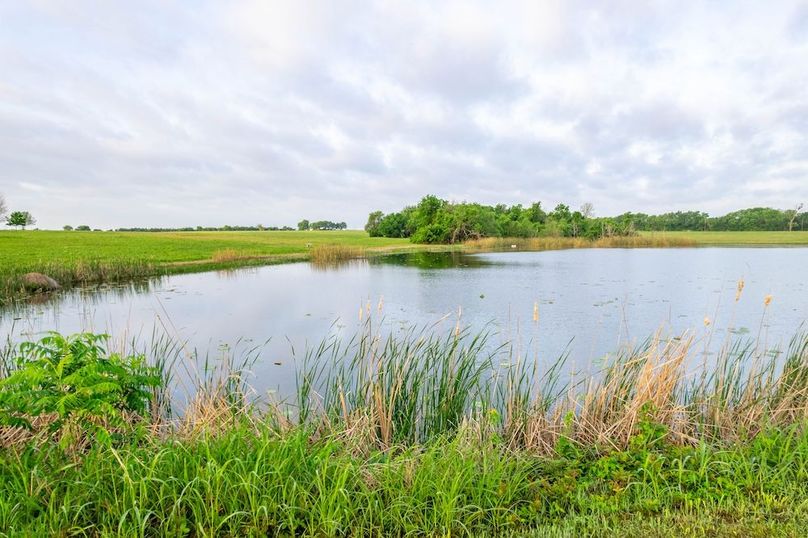 Lamar County- 89.8 acres-46