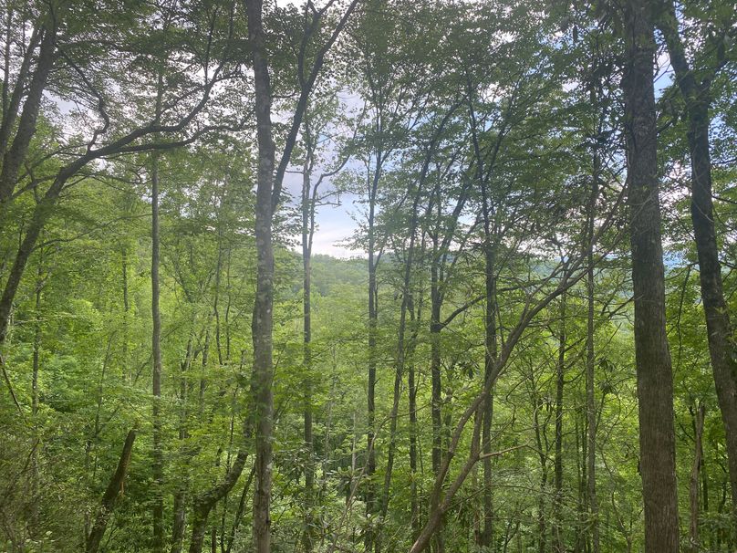 Swain 39 Tysinger-29