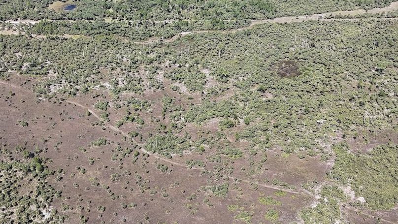 DJI_20251119124806_0990_D