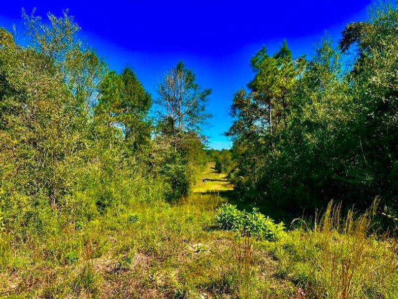 9E41BBB1-0137-419E-A147-B3C5C97F667D_1_105_c