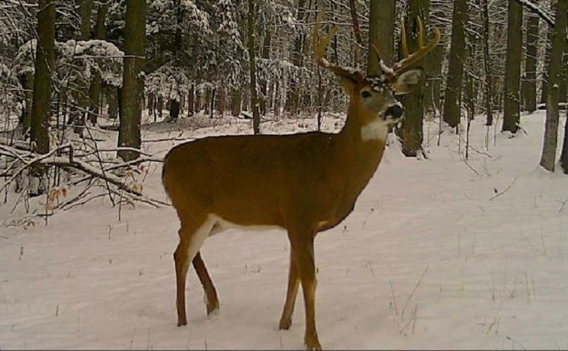 Screen Shot 2025-10-07 at 11.40.33 AM