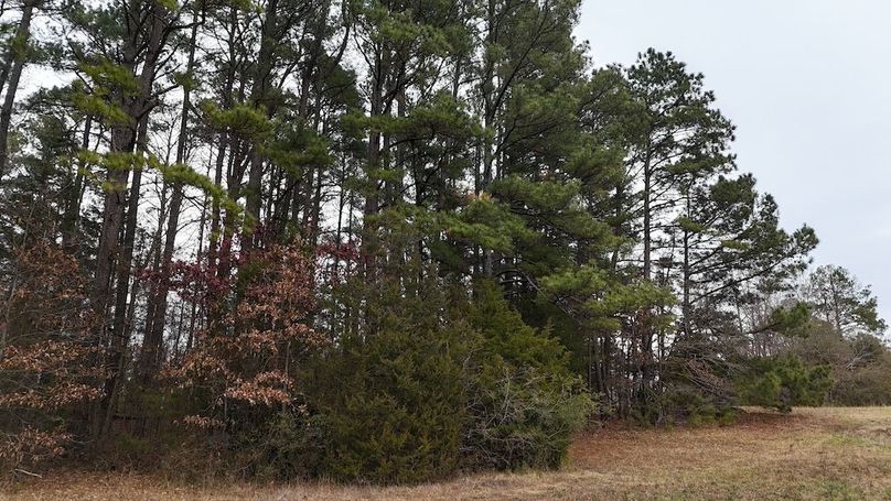 dji_fly_20251212_125154_0084_1765562241855_photo