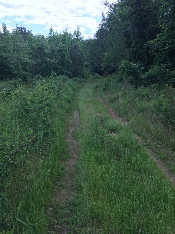 4F6DF0D1-D2D1-4BF3-BA86-56C1D0F4C3EB_1_105_c