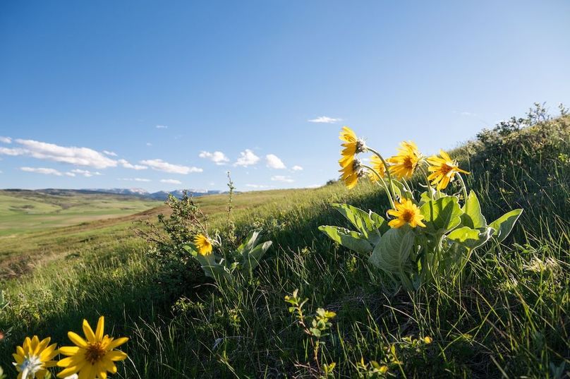 A054D88D-7977-4282-B86B-B37BA2B3E72C